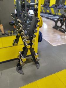 Фотография Pgym 5